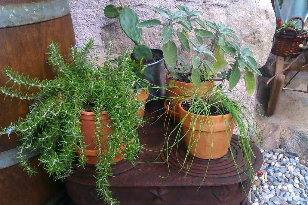B&B Villa Ca'Praja Daone Exteriér fotografie