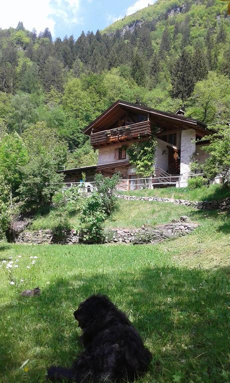 B&B Villa Ca'Praja Daone Exteriér fotografie
